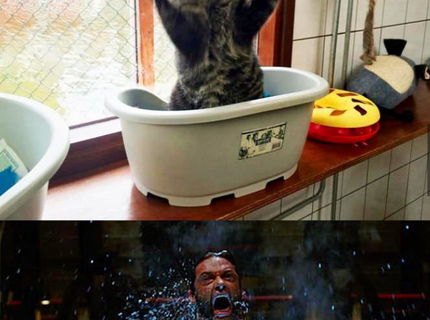 Jeaaa :D Toto je haluzna foto!