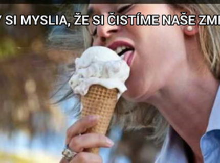 Čo si myslia mačky... :D