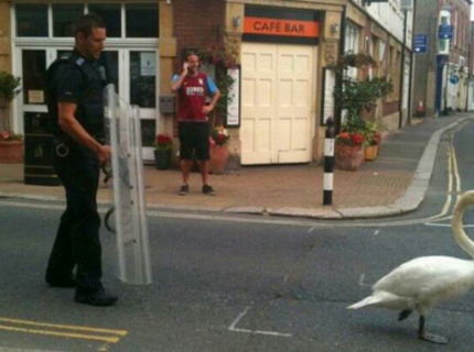 Policajná brutalita!!! :D:D