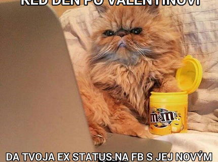 Den po Valentínovi... :D