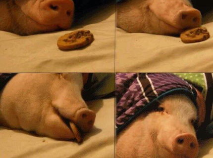 Jéééééj...toto je aké podarené! :)