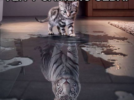 Motivačné motto dňa! :)