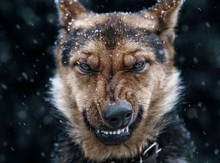 Poznáte ten pocit?:D