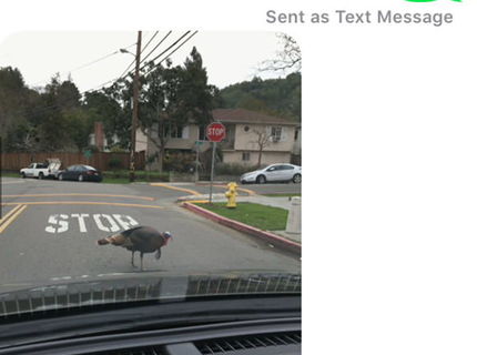 SMS ktorú píše sám život :D Ha.. :D