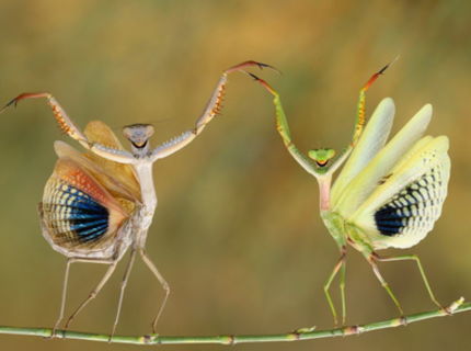 To co?? :D Toto je aké podarené :D