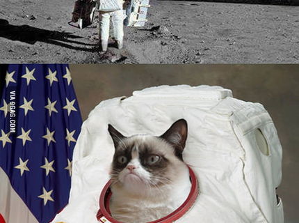 A čo by ste v takejto situácii spravili vy??