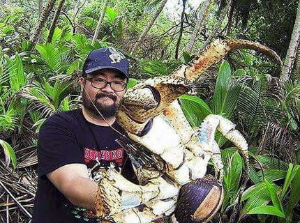 Nič zvláštne..vitajte v Austrálii :D:D