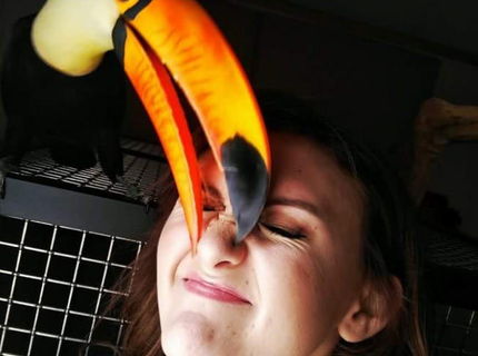 Ked si spravis selfie s tukanom... :D