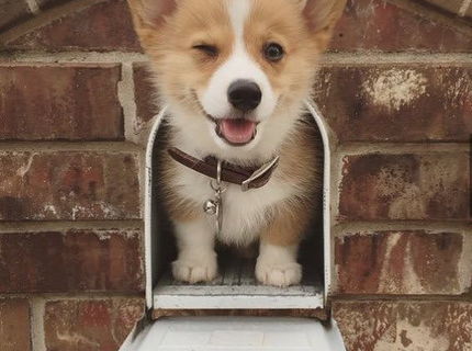 Dostal si poštu! :) Tak toto je krásne :)