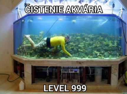 Máte rybičky? Tak potom musite vidiet toto meme .. :)