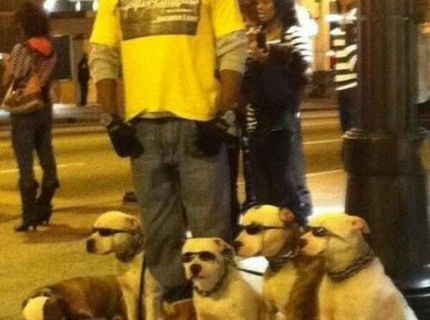 Tak toto su naozaj cool chlapci! :)