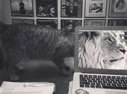 Foto cvaknutá v správny moment! :)