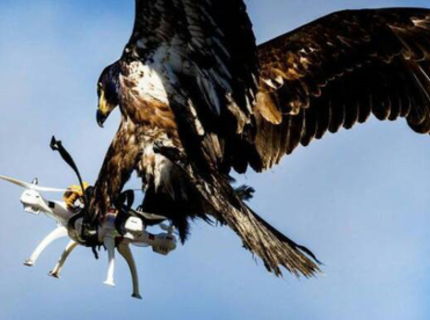 Uuffff.. majitel drona prisiel o svoju hracku velmi kurioznym sposobom :D