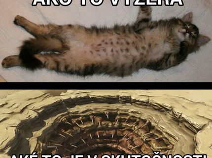 Suhlasíte s týmto? Chováte aj vy takéto stvorenie?:D