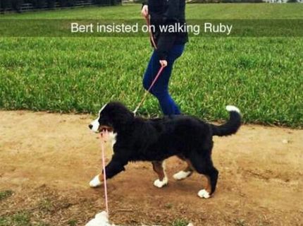 Multitasking pri venceni :D