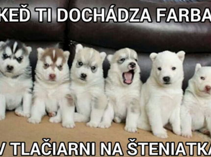 Chcete vediet ako na steniatka?:D TU je super post! :D