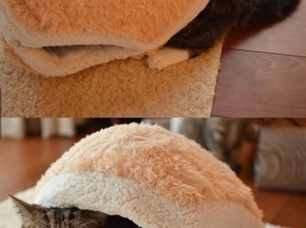 Jeeeej..toto je aké rozkošné :)