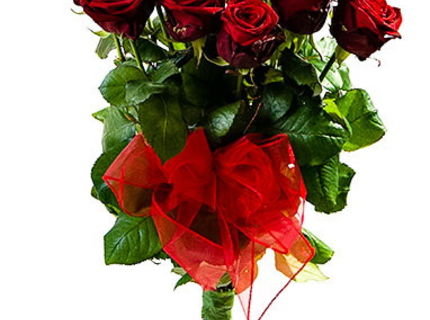 Každý rok na MDZ :D