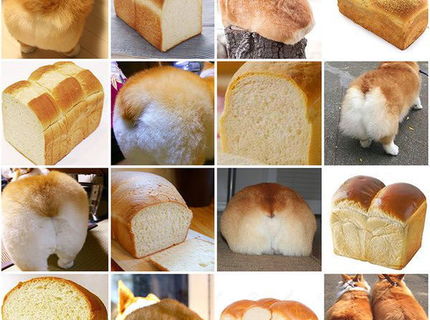 Najdite dva rozdiely...:D