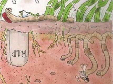 Zo zivota dazdoviek :D :)