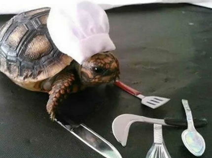 Toto je njalepší slow cooker na svete :D