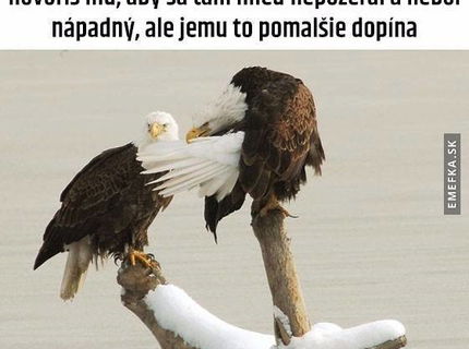 Zo zivota, ked mate nechapaveho kamarata :D