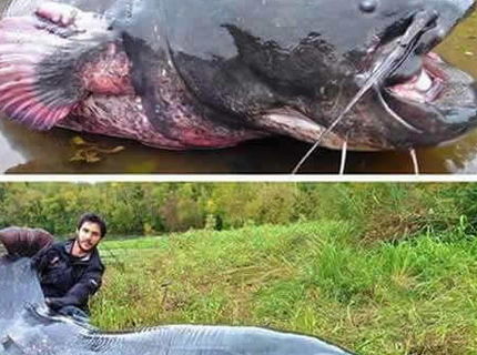 Toto je ulovok!!! Neuveritelne!