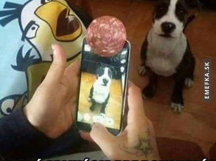 Super navod ako urobit top fotku vasho psika :D