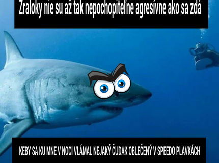 Prečo zraloky nie su agresivne :D