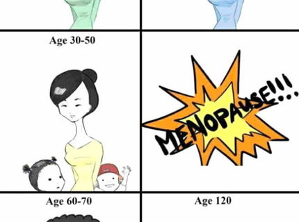 Aziatky a ich evolucia :D