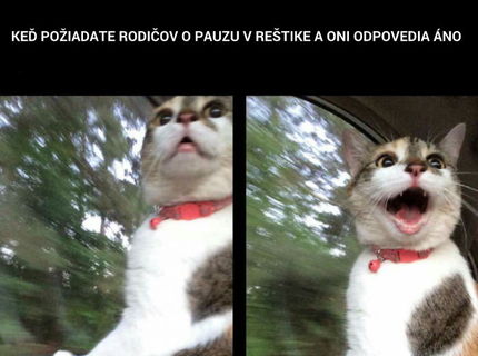 Situácia ako vyšitá z rodinných výletov.... to musíš vidieť! :D