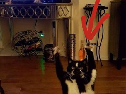 Skvelá momentka! :D tak toto je riadne dobré! :D