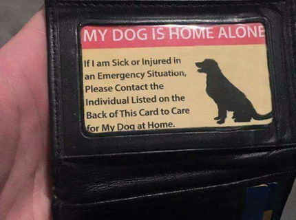 Skvelý tip pre majiteľov domácich miláčikov! :)