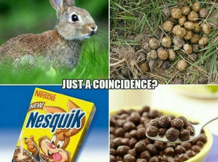 Nesqvik na zamyslenie :D