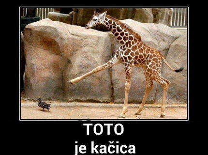 Toto je kačica! :D