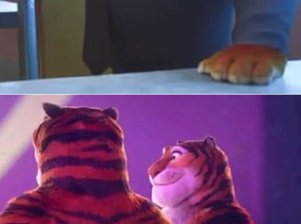 Poznate ZOOTOPIA? :)