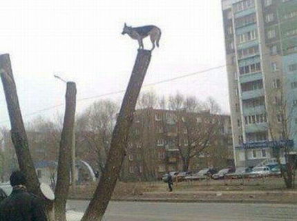 Toto sa moze stat asi len na Ukrajine :D