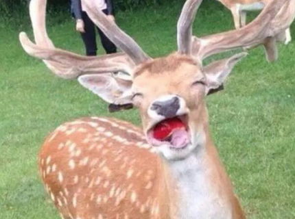 Tak toto je super foto ! :D