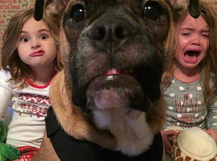 Toto nepotrebuje žiaden komentár :D