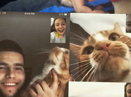 Zvieratá bavia internet! Unikátna foto séria toho naj so zvieratami :D #4