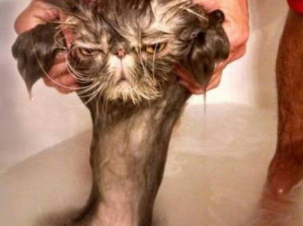 Ten pocit, ked robis nieco voci svojej chuti :D