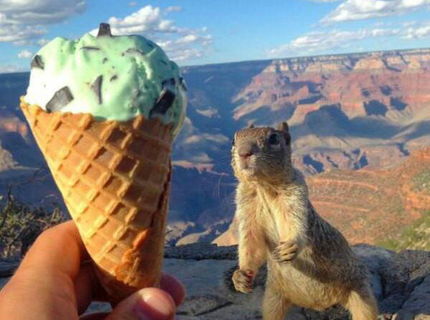 Toto je najlepšia momentka z minuloročnej dovolenky! :D