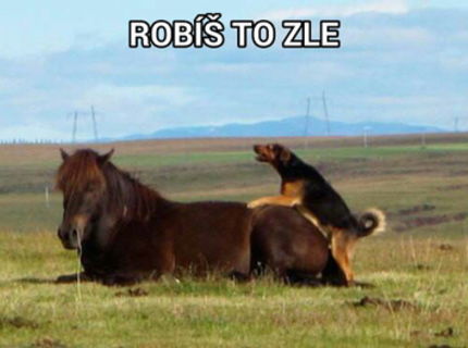 Uff... to je odvaha :D