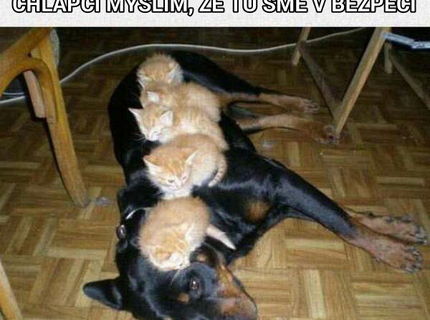 Jeeeeeej...toto je ake podarené meme :D