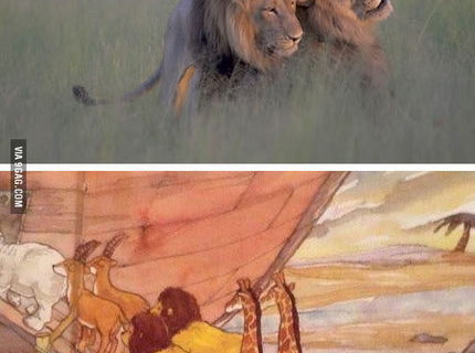 Aj královia dzungle su len chlapi :D