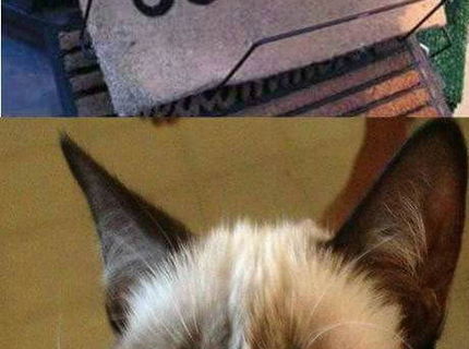 TOP SUCHADLA PRED DVERE :D