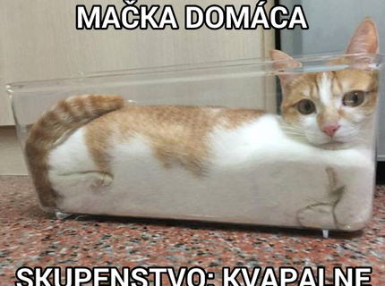 Je toto normálne? omg :D