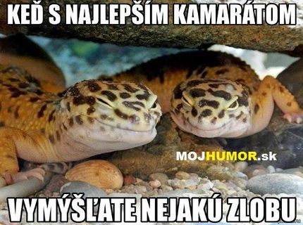 Ked mate nieco za lubom ... :D