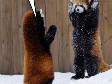 Jéééééééj...toto je rozhodne rozkošné kámo :D