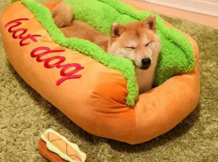 Rozkošnééééééé... toto musíte kupiť pre vášho miláčika :D